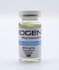 Testosterone Enanthate 300mg/ml (10ml)